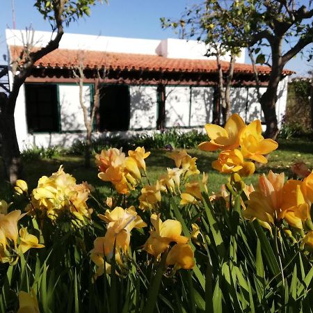 Casa Rural Limon Y Sol El El Sauzal Eksteriør bilde