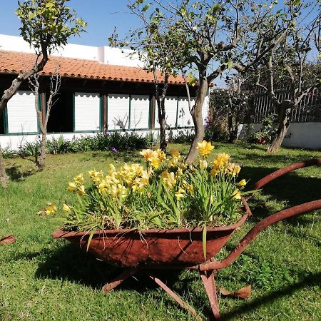 Casa Rural Limon Y Sol El El Sauzal Eksteriør bilde