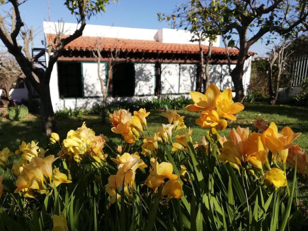 Casa Rural Limon Y Sol El El Sauzal Eksteriør bilde
