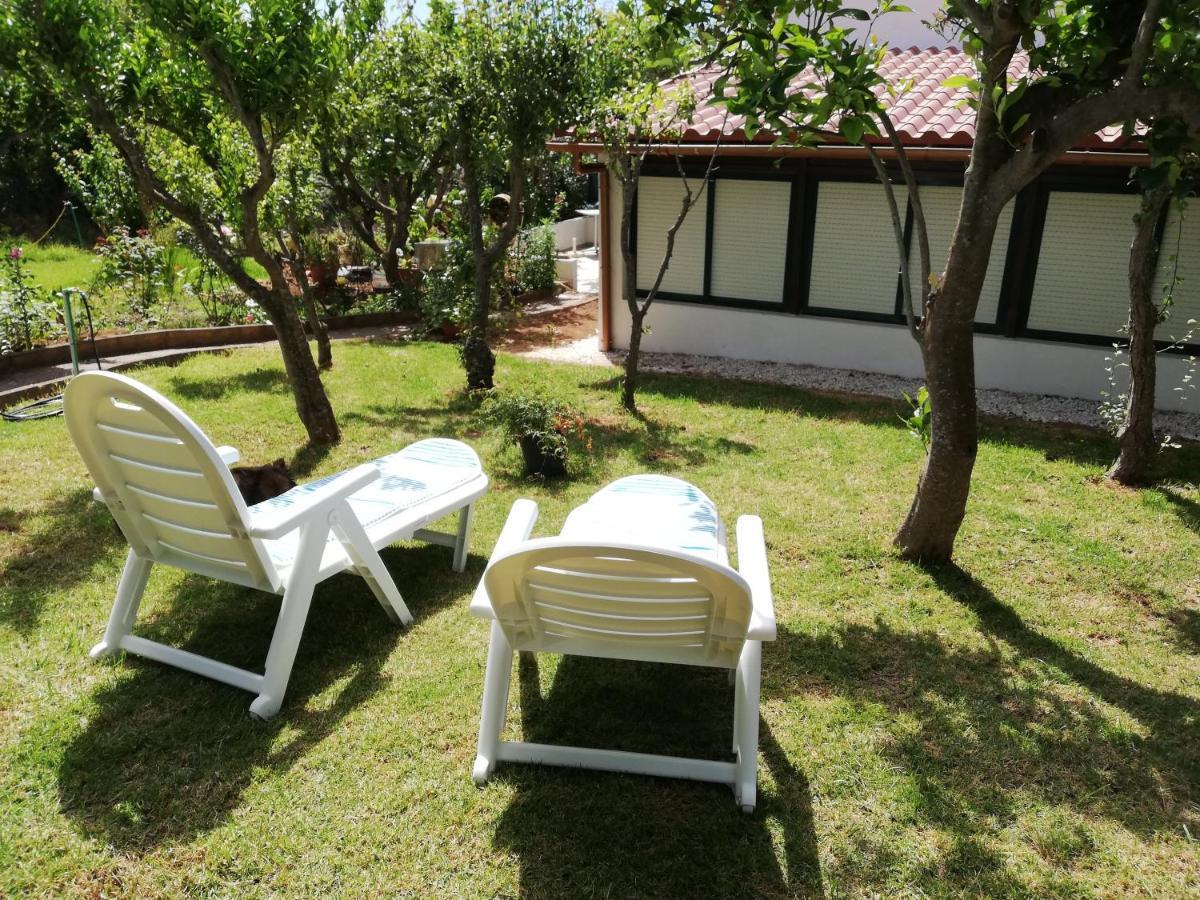Casa Rural Limon Y Sol El El Sauzal Eksteriør bilde