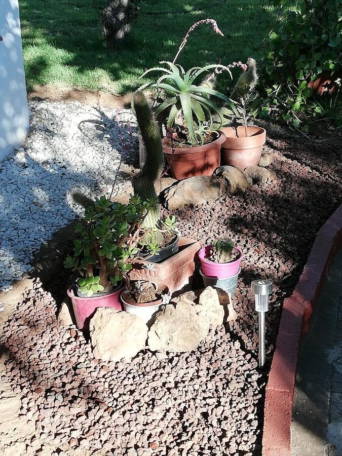 Casa Rural Limon Y Sol El El Sauzal Eksteriør bilde
