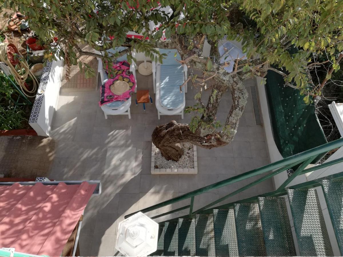 Casa Rural Limon Y Sol El El Sauzal Eksteriør bilde