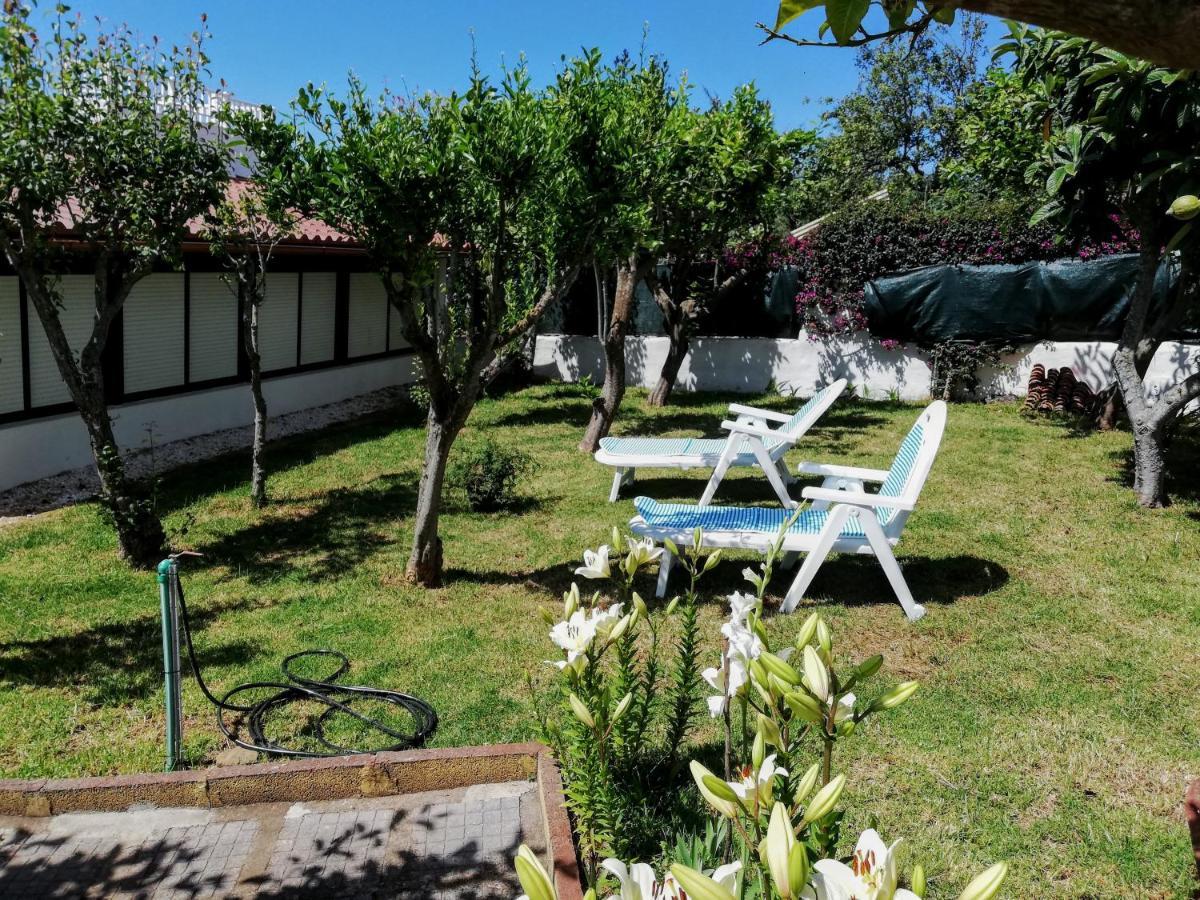 Casa Rural Limon Y Sol El El Sauzal Eksteriør bilde