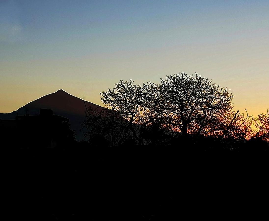 Casa Rural Limon Y Sol El El Sauzal Eksteriør bilde