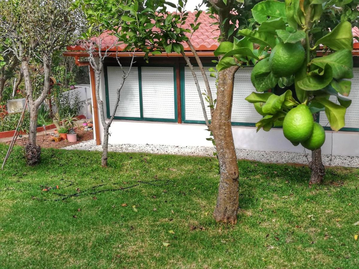 Casa Rural Limon Y Sol El El Sauzal Eksteriør bilde